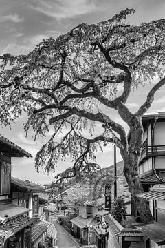 Historisch Kyoto met de steeg Sannen-zaka | monochroom van Melanie Viola