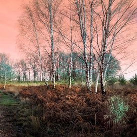 Landscape with trees and full Moon by Corinne Welp