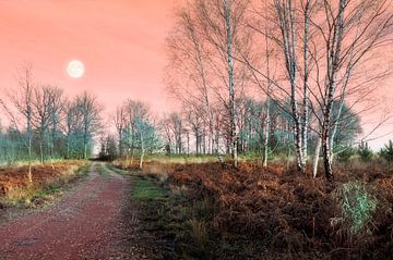 Landschap met bomen en volle Maan van Corinne Welp