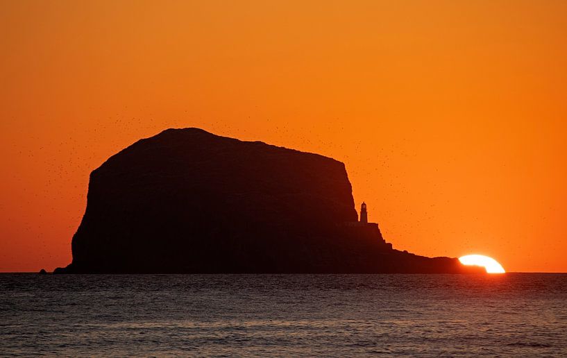 Dawn sunrise at Bass Rock, Firth of Forth, East Lothian, Scotlan by Arch White
