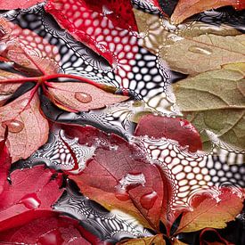 herfstbladen op natte ondergrond me waterdruppels van Heinz Trebuth