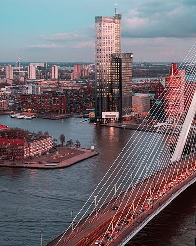Rotterdam View 6