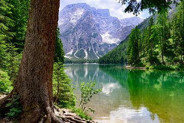 Pragser Wildsee or Lago di Braies in the Dolomites during spring by Sjoerd van der Wal Photography