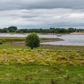 Vue du paysage sur la plaine d'inondation naturelle de la rivière Waal, Do. sur Werner Lerooy