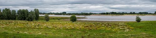 Landscape view over the natural floodplain of the River Waal, Do