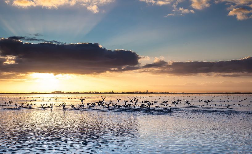 Markermeer van Harry Schuitemaker