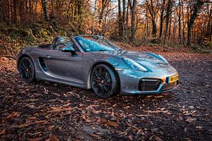 Porsche Boxster GTS Typ 981