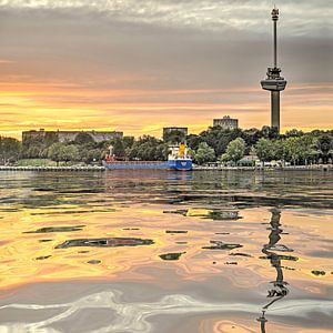 Wasser-Reflexion Euromast, Rotterdam