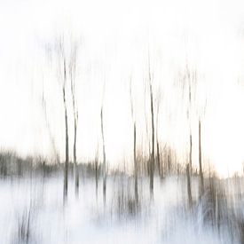 Retour à l'hiver - ICM 2 sur Danny Budts