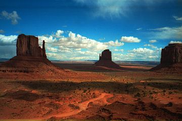 Monument Valley van Cornelis (Cees) Cornelissen