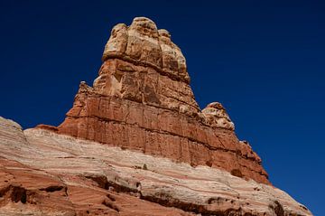 Canyonlands, The Needles District IV by Gerry van Roosmalen