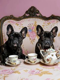 Black french bulldogs having tea party by haroulita