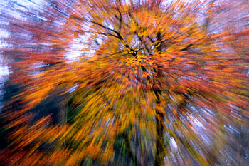 Herbstexplosion