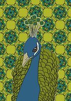 Beauty within Patterns