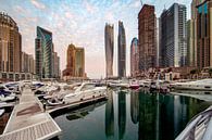 Marina Morning - Dubai van Rene Siebring thumbnail