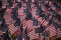 Memorial Day in Boston, Massachusetts  by Robin Hartog thumbnail