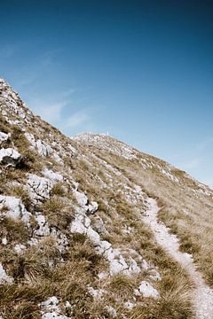 Bergpad op een zonnige dag in Oostenrijk