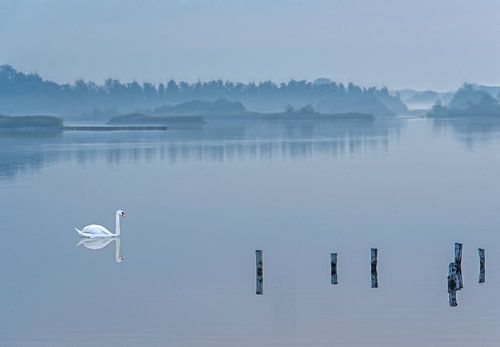 Wasserlandschaft Schwan von Marcel van Balken