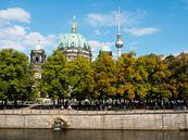 Berliner Dom en de Fernsehturm van Jeroen Götz thumbnail