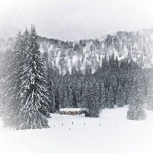 Bavarian Winter's Tale III