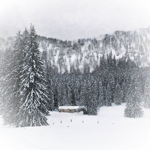Wintermärchen HEMMERSUPPENALM III