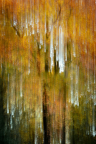 Herbst in „Verticale Droom“