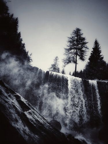 SPLASH von FluMiSign