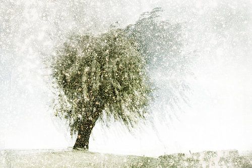 Nederlands landschap Sprang-Capelle, Nederland