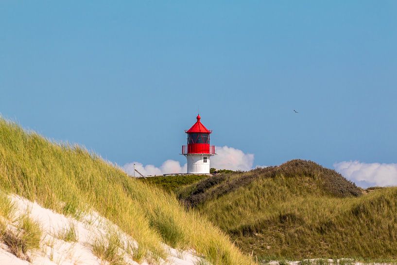 Kruislicht op Amrum van Alexander Wolff