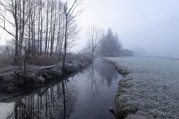 Mist bij een beekje van Teresa Bauer