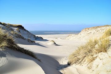 Doorkijkje duinen van Jacoba de Graaf
