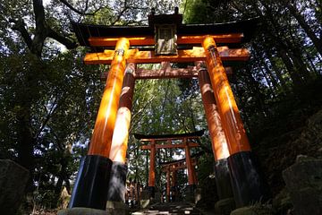 Tori bij de Inari berg, Kyoto, Japan van Annemarie Arensen