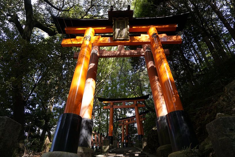 Tori at Inari mountain, Kyoto, Japan by Annemarie Arensen
