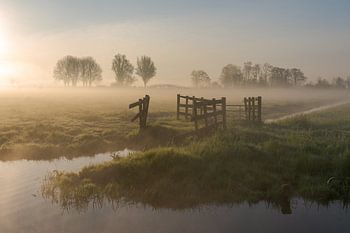 Lever de soleil dans un brouillard suspendu bas dans un paysage de polders