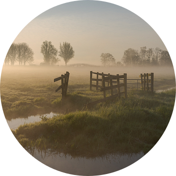 Zonsopkomst bij laag hangende mist in polderlandschap Alblasserwaard van Beeldbank Alblasserwaard