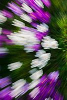 Moving colors 