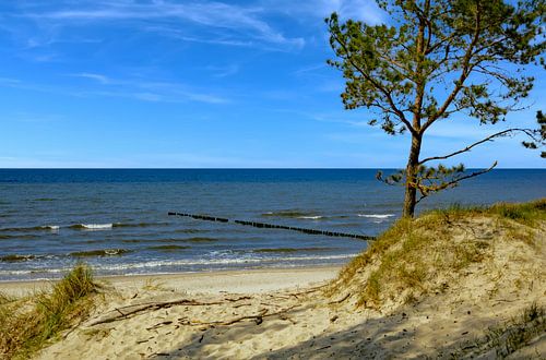 Uitzicht op het meer