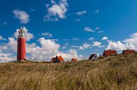 Wind,zee en Texel van Brian Morgan thumbnail