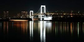 Tokyo night by Stefan Havadi-Nagy