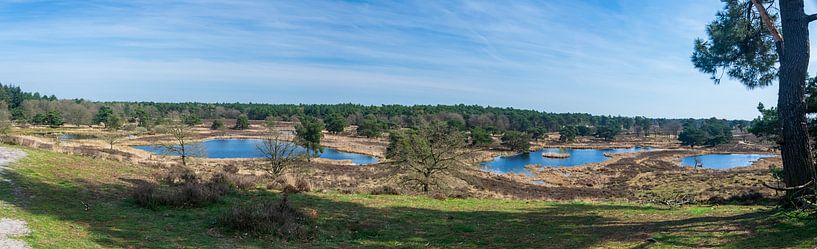 Panoramic photo of the Het Quin nature reserve by Kristof Leffelaer
