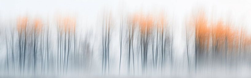 Abstrakte Baumkontur von fernlichtsicht