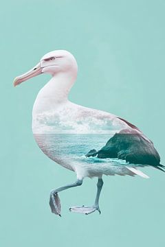 Fantasie van kustvogels van Poster Art Shop
