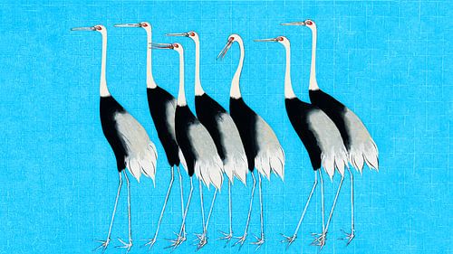 Japanse kraanvogels op licht aquablauw