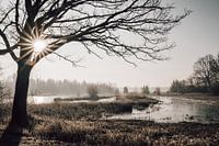 Arbeiten in der Landschaft 13