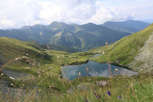 Mehr in den Bergen von Rumänien