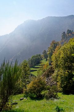 Uitzicht in het Aosta-dal in Italie in de herfst. Zacht tegenlicht. van Hein Fleuren