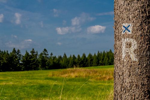 Prachtig wandelparadijs op de Rennsteig