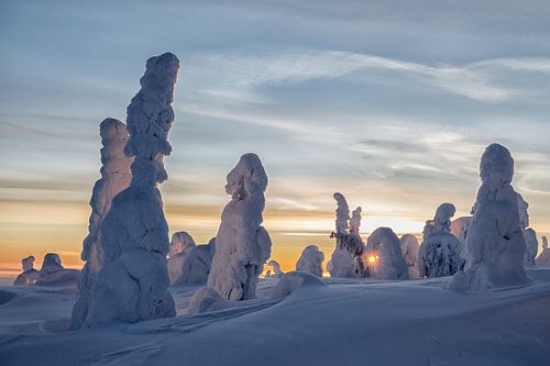 Winter wonderland van Menno Schaefer