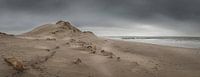 Panorama van Zeeuwse kust met duin en zee van Michel Seelen thumbnail