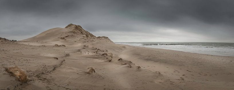 Panorama van Zeeuwse kust met duin en zee van Michel Seelen